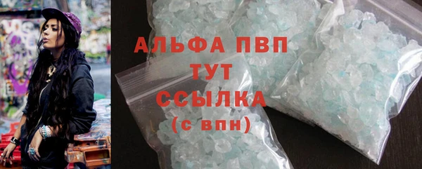 СК Ельня