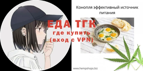 СК Ельня