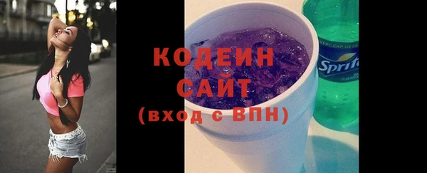 СК Ельня