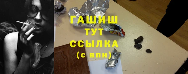 СК Ельня