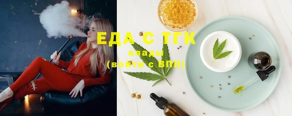 СК Ельня