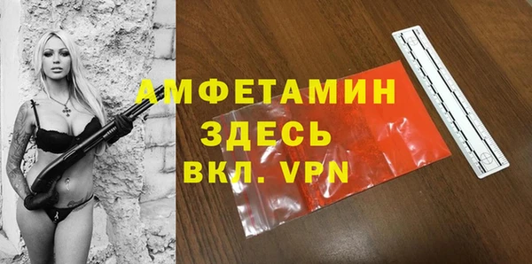 СК Ельня
