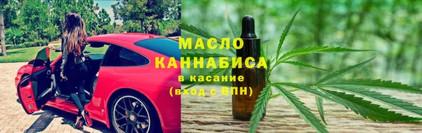 СК Ельня