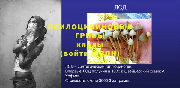 СК Ельня