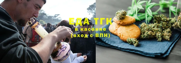 СК Ельня