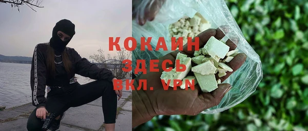 СК Ельня