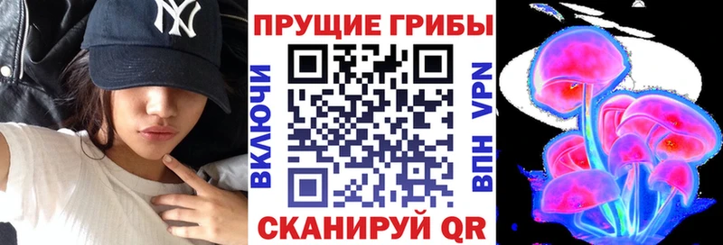 наркошоп  Навашино  Галлюциногенные грибы Magic Shrooms 